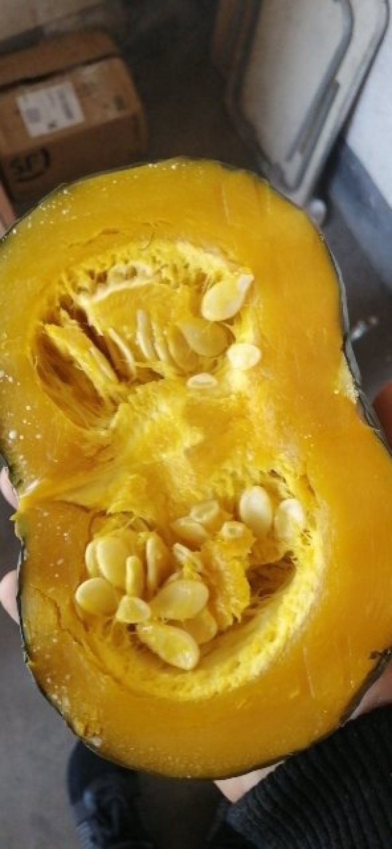 板栗南瓜