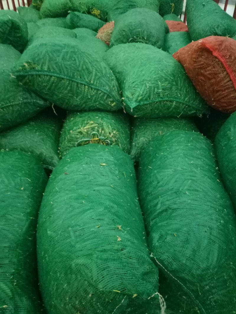 大量供应长寿仁碗豆，需要的老板联系
