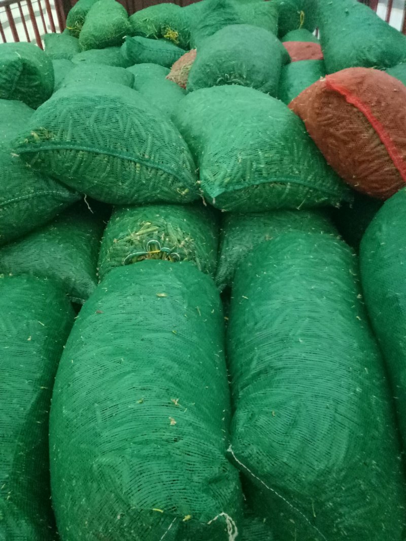大量供应长寿仁碗豆，需要的老板联系