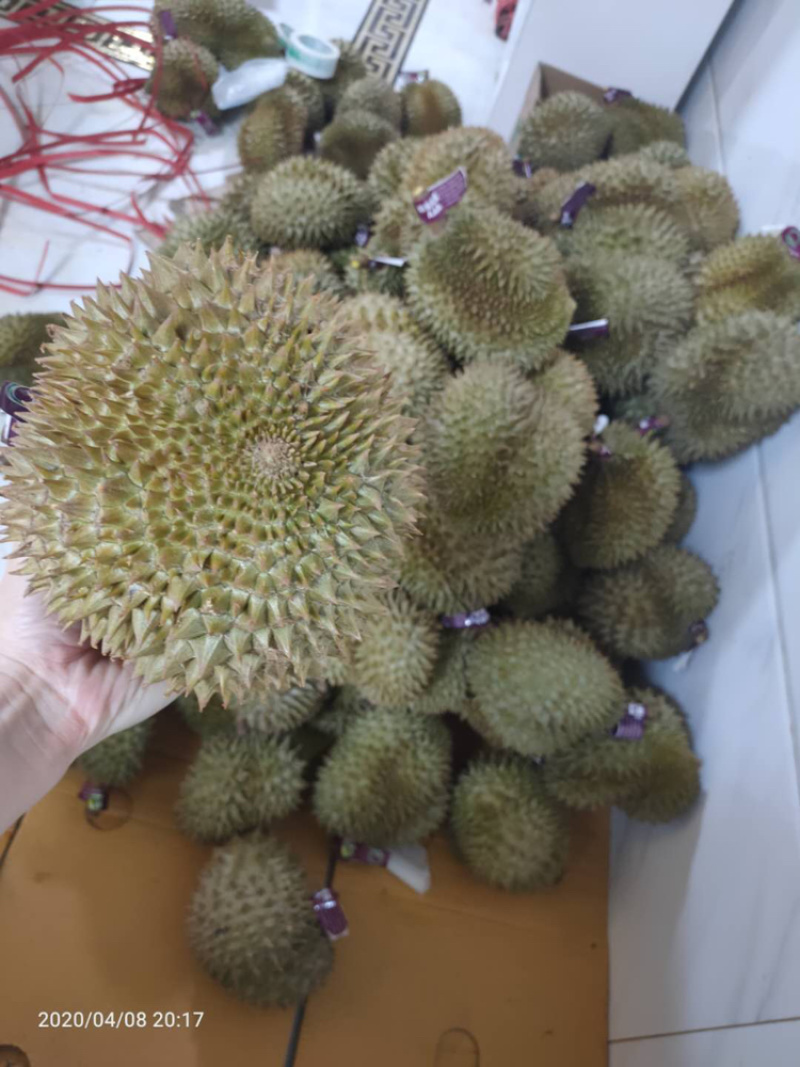 泰国金枕巴掌榴莲批发