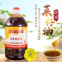 小蜜蜂浓香纯菜籽油农家自榨物理压榨食用油5L装