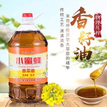 小蜜蜂低温物理压榨清香型菜籽油5L健康菜籽油厂家自榨