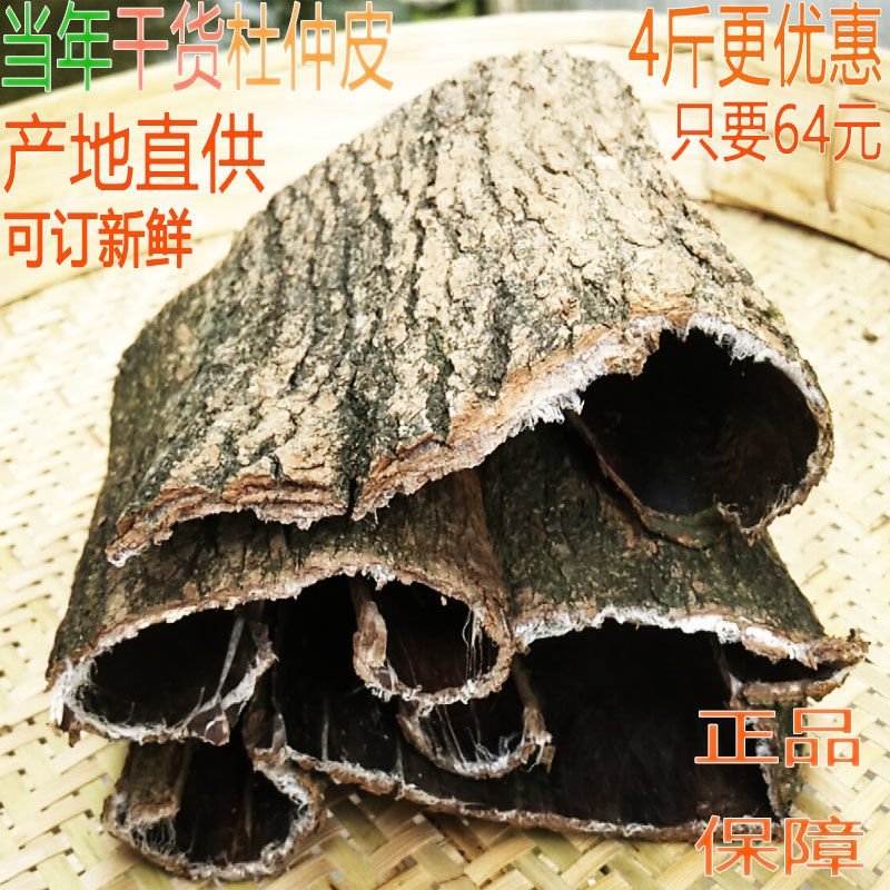 15年杜仲皮杜仲茶略阳杜仲老树厚皮野生老树杜仲皮