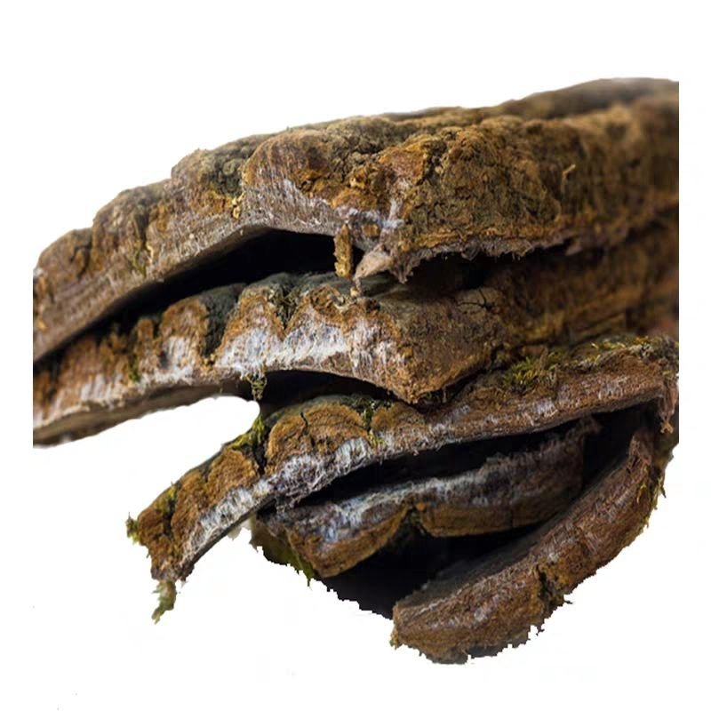 15年杜仲皮杜仲茶略阳杜仲老树厚皮野生老树杜仲皮