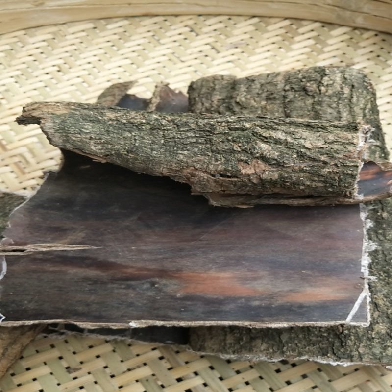 15年杜仲皮杜仲茶略阳杜仲老树厚皮野生老树杜仲皮