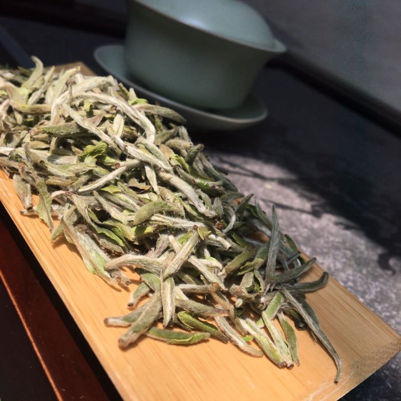福鼎白茶白毫银针2020年头采数量有限适合收藏送礼