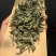 福鼎白茶白毫银针2020年头采数量有限适合收藏送礼