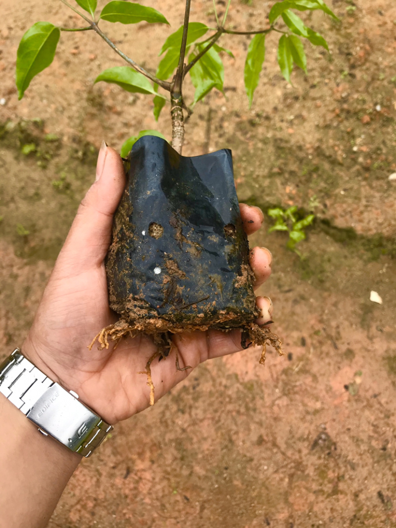 广伞风量大从优，详情联系客服，，，，，，