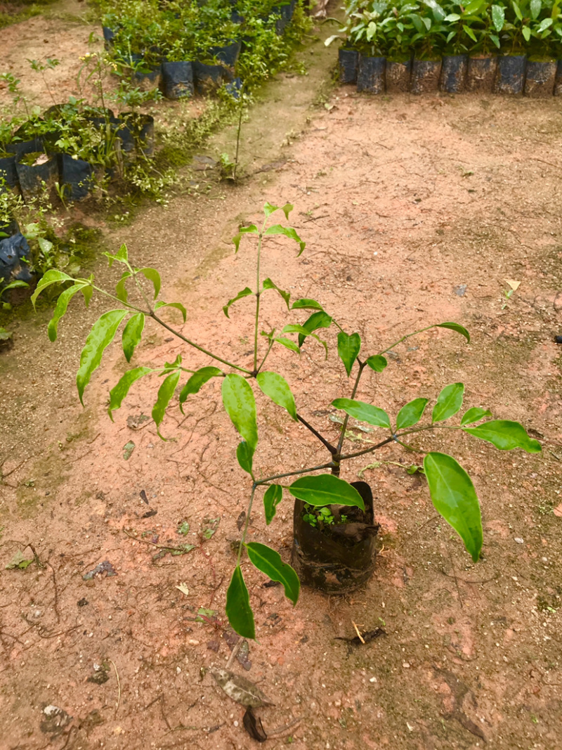 广伞风量大从优，详情联系客服，，，，，，