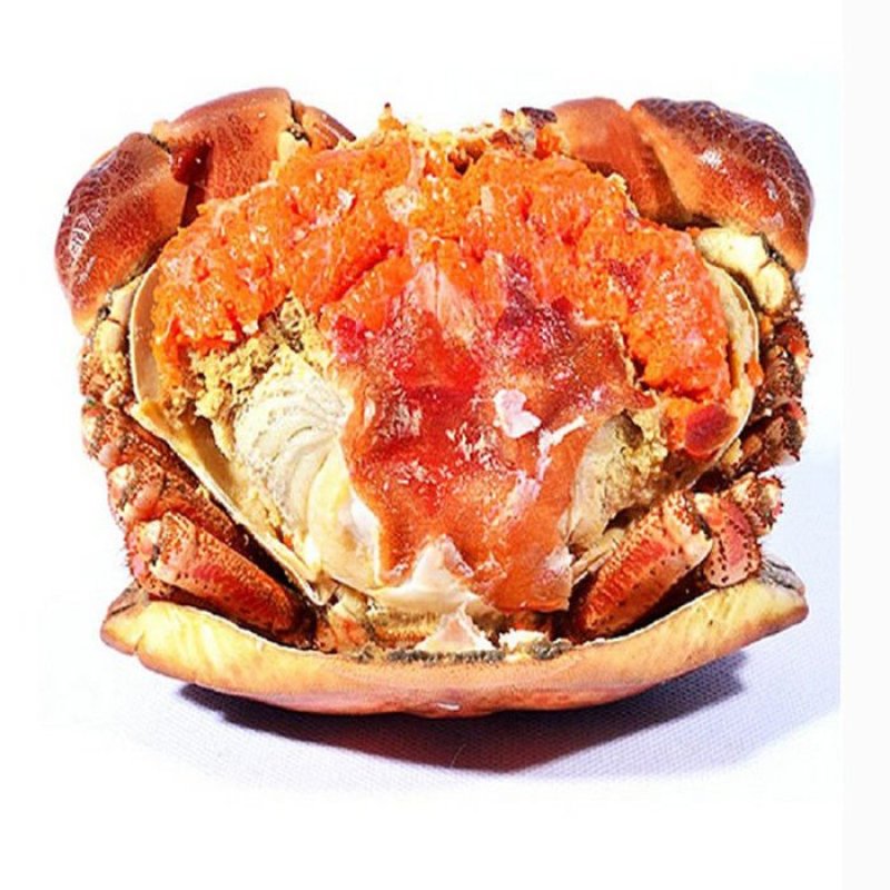 黄金蟹面包蟹海蟹珍宝蟹黄道蟹海鲜活体熟冻即食新鲜面包蟹