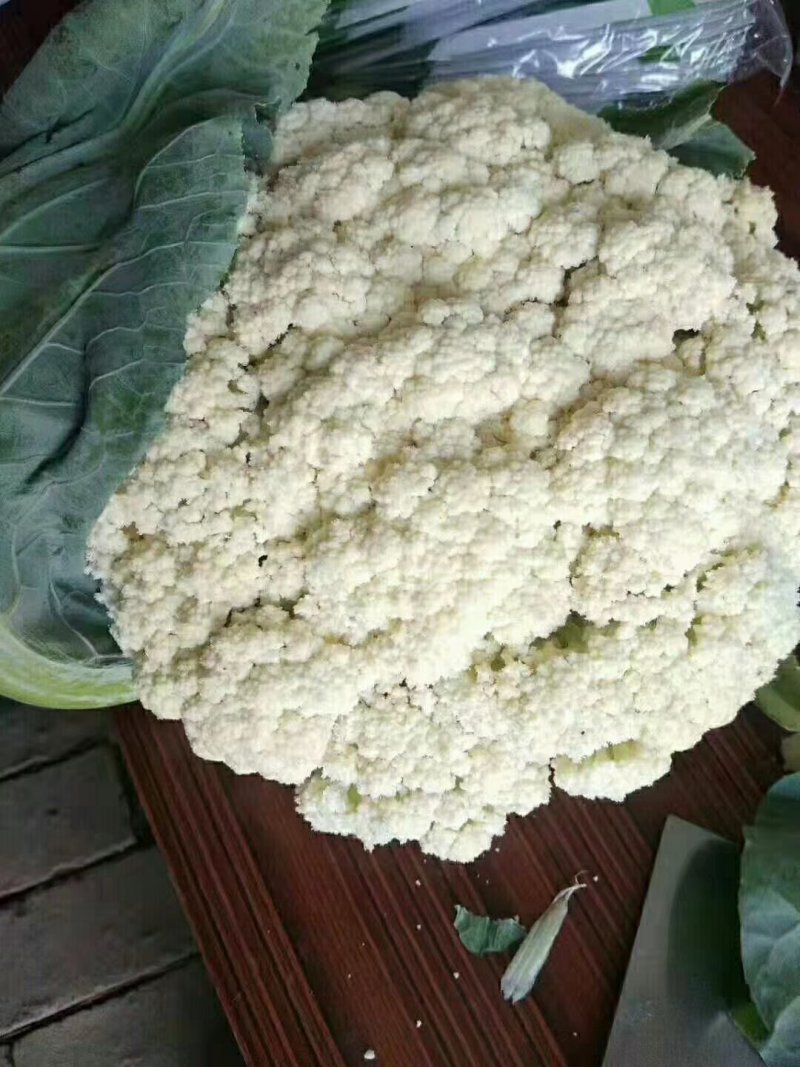 河北邯郸有机花菜诚信经营合作共赢。