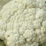 河北邯郸有机花菜诚信经营合作共赢。