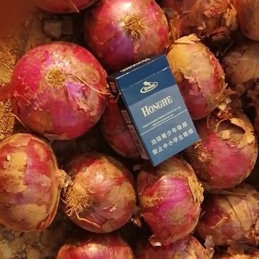 紫皮洋葱