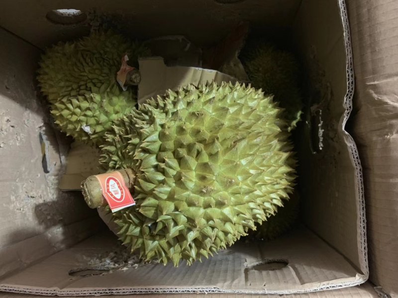 泰国榴莲新鲜金枕头现货供应