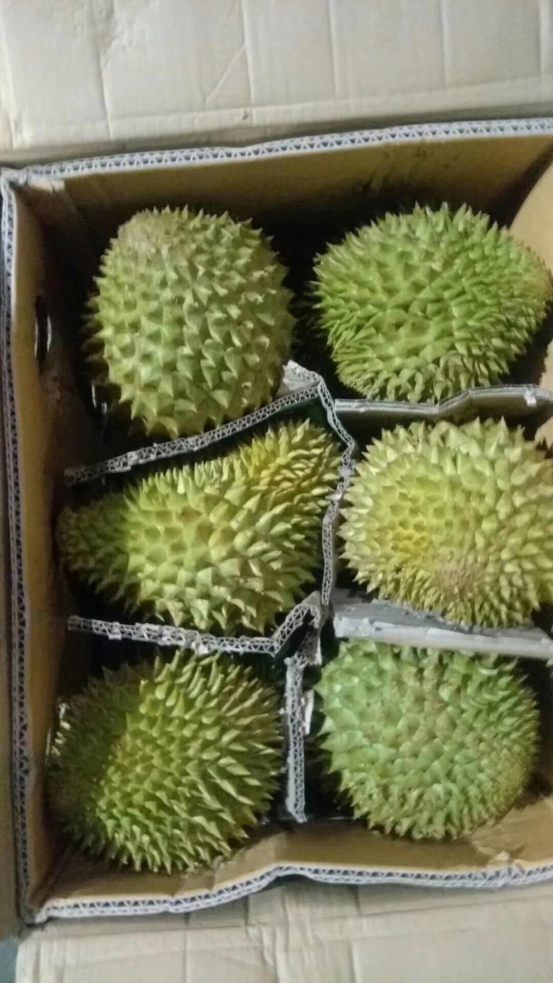泰国榴莲新鲜金枕头现货供应