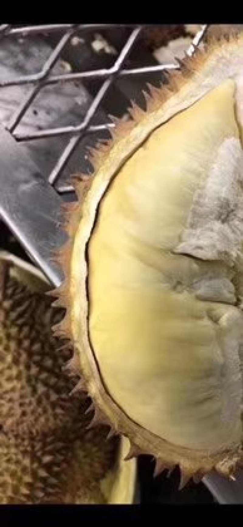 泰国榴莲新鲜金枕头现货供应