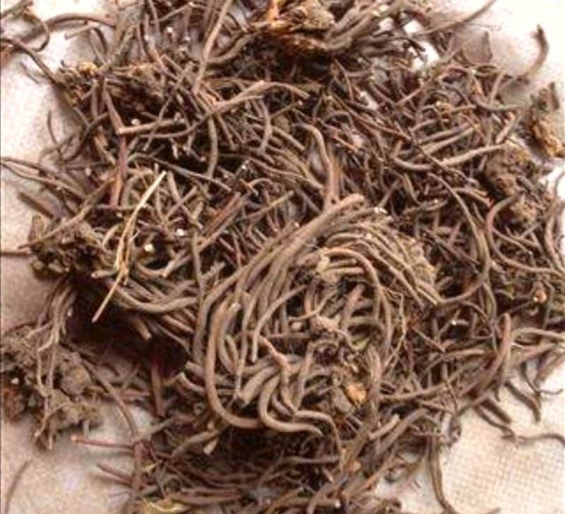 桃儿七，道地药材，质优价实，品质保证，药典标准一公斤起批