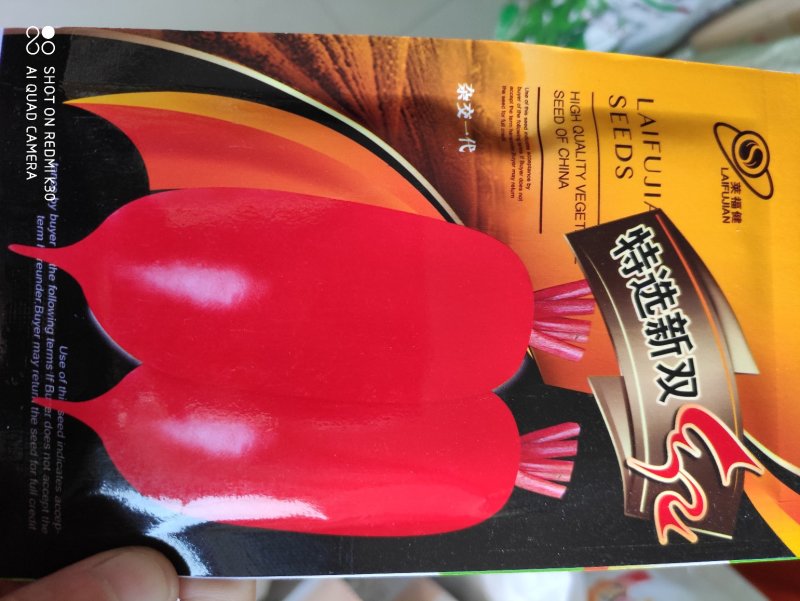 萝卜种子特选新双红耐热早熟红萝卜种子