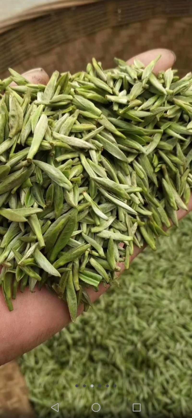 蒙顶山手工甘露