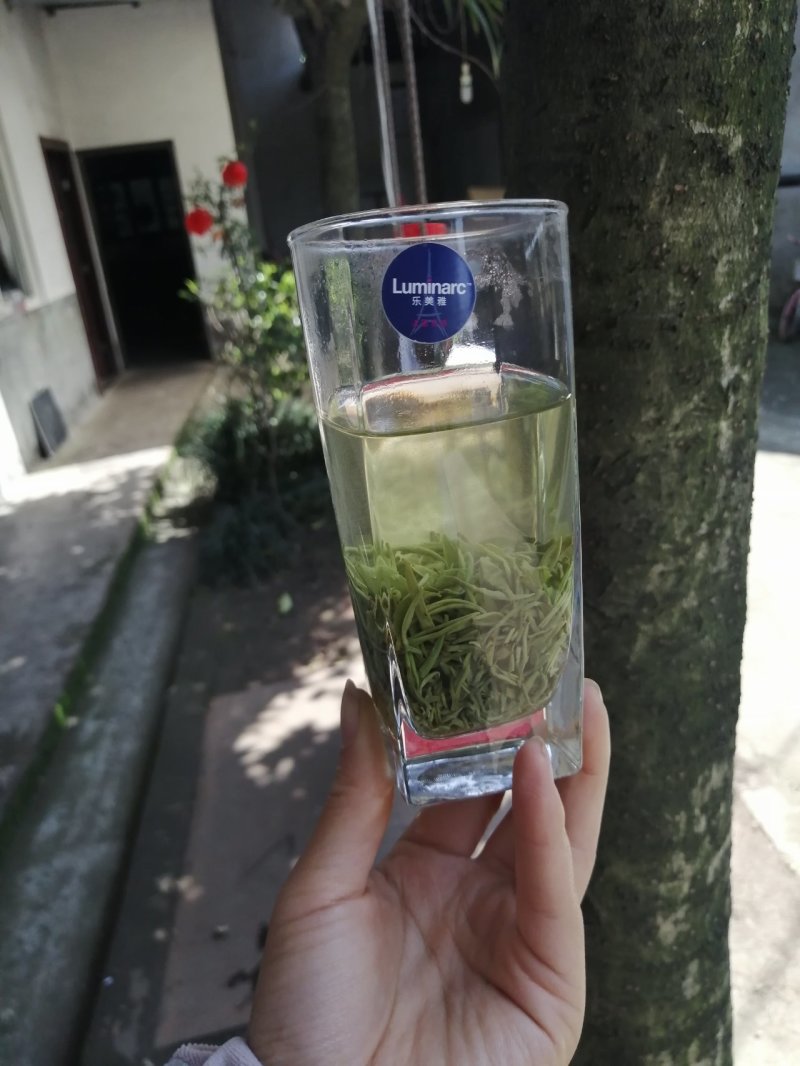 蒙顶山手工甘露