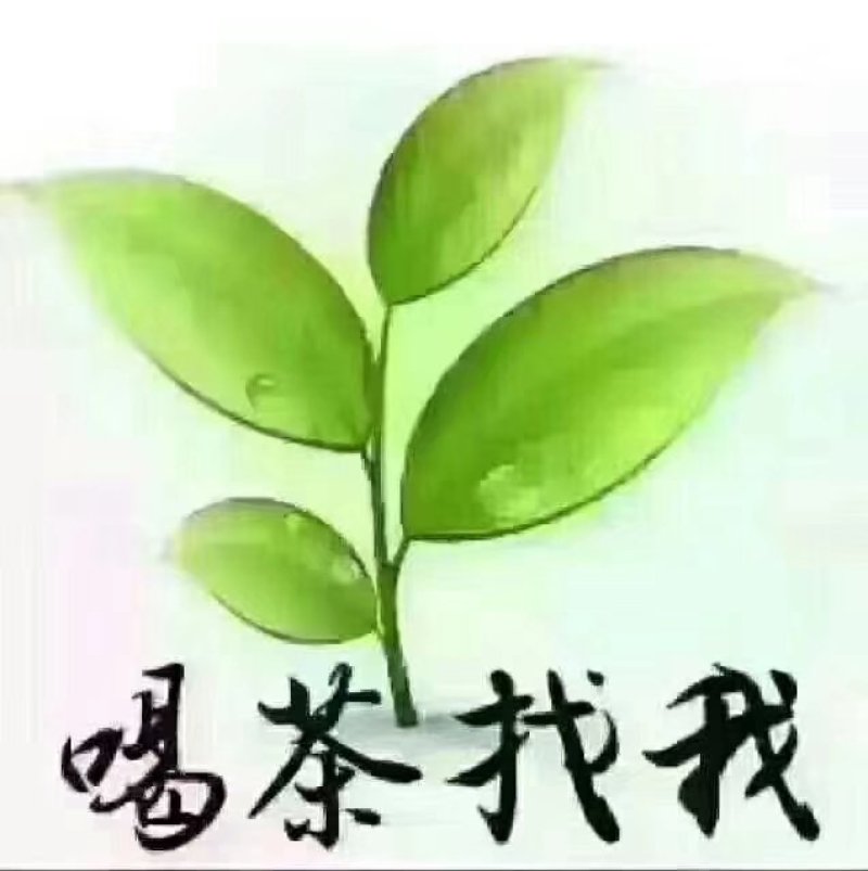 清明茶