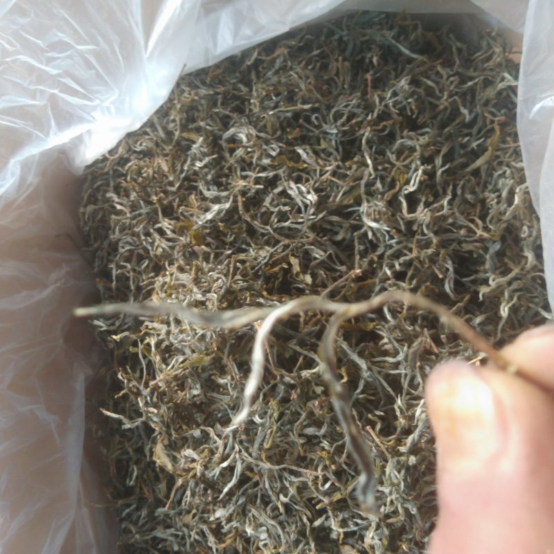 古生态小锅茶普洱老树茶，清香甘甜，回甘好