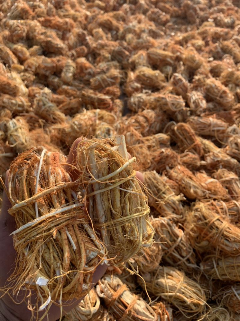 五指毛桃，应有尽有，加工厂供应
