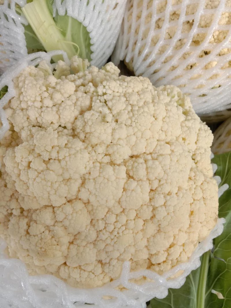精品有机菜花，质量优，颜色白