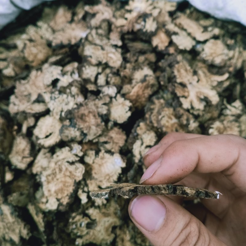 川芎统货选货过4个筛子川芎薄片可常年供应全国发货