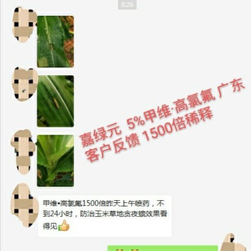5%甲维高氯氟水乳剂青虫钻心虫草地贪
