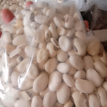 白刀豆，常年批发供应白刀豆中药材
