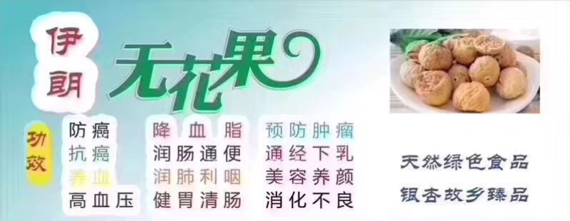 《伊朗无花果》口感非常好，可以煲汤，可以泡酒，可以泡茶。