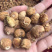 《伊朗无花果》口感非常好，可以煲汤，可以泡酒，可以泡茶。