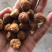 《伊朗无花果》口感非常好，可以煲汤，可以泡酒，可以泡茶。