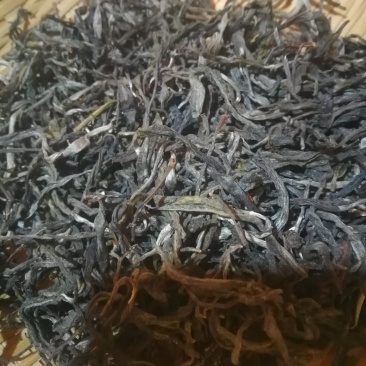 西双版纳勐海南糯山大树茶