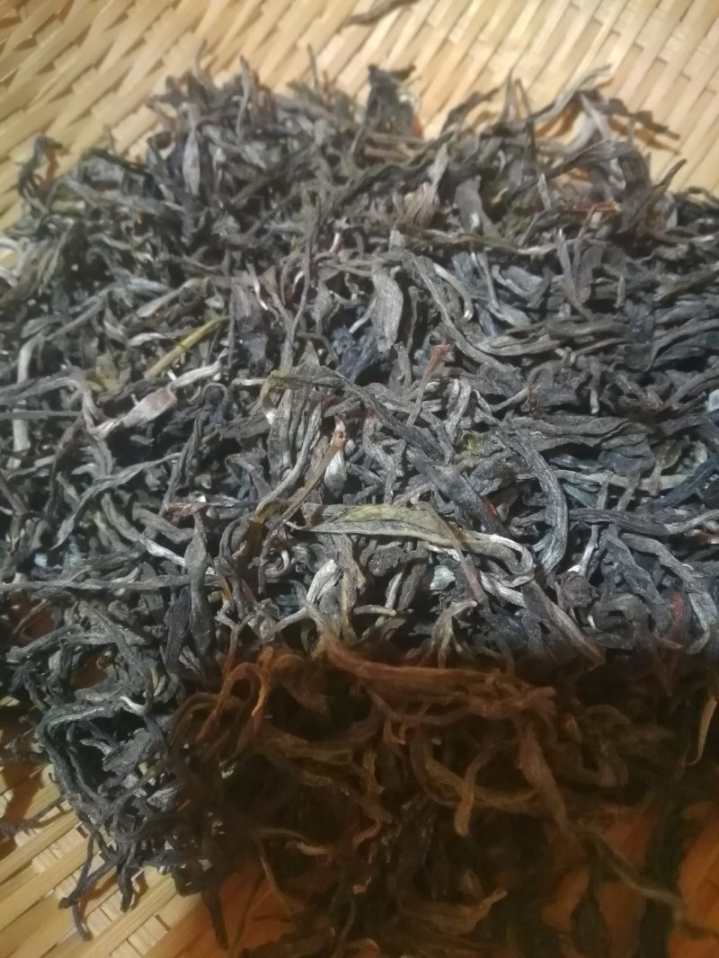 西双版纳勐海南糯山大树茶