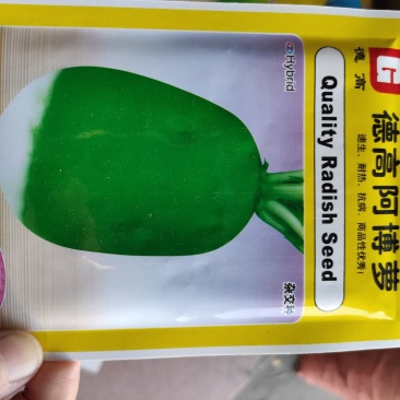 德高阿博萝卜种子抗病耐热抗口感甜脆