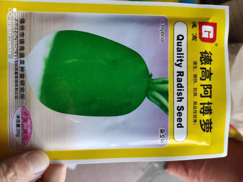 德高阿博萝卜种子抗病耐热抗口感甜脆