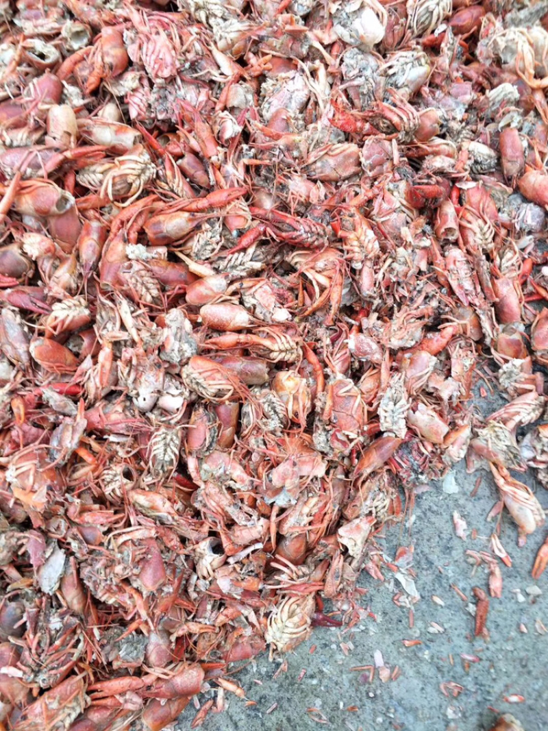 龙虾糠饲料，鸡鸭鹅猪家禽养殖，水产养殖都可以使用
