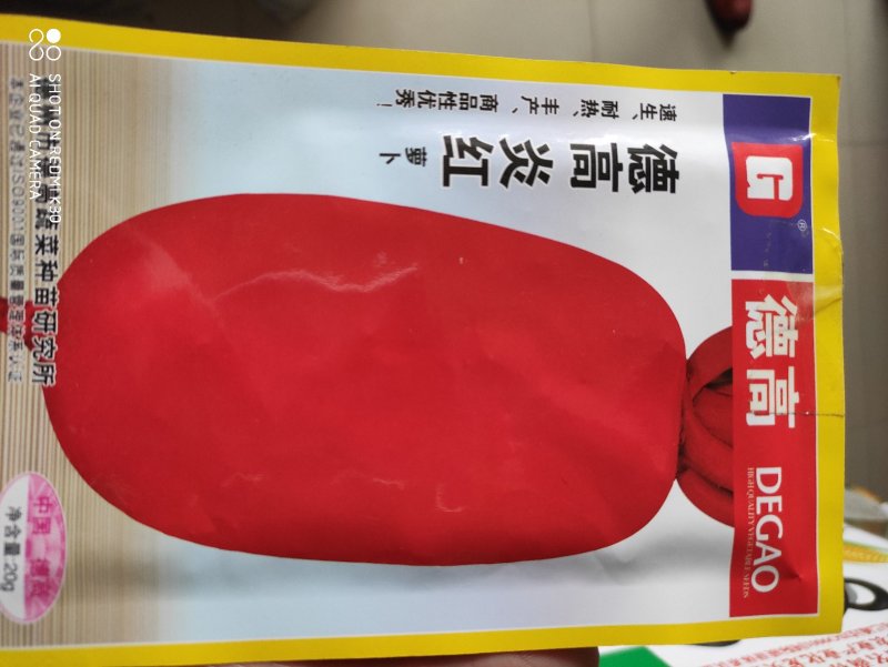 德高炎红萝卜种子耐热耐湿表皮红色肉质白而细腻