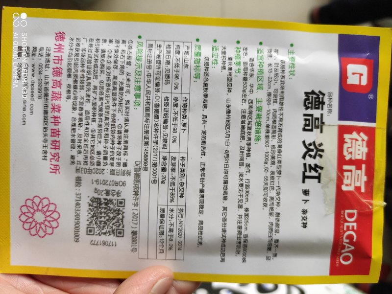 德高炎红萝卜种子耐热耐湿表皮红色肉质白而细腻