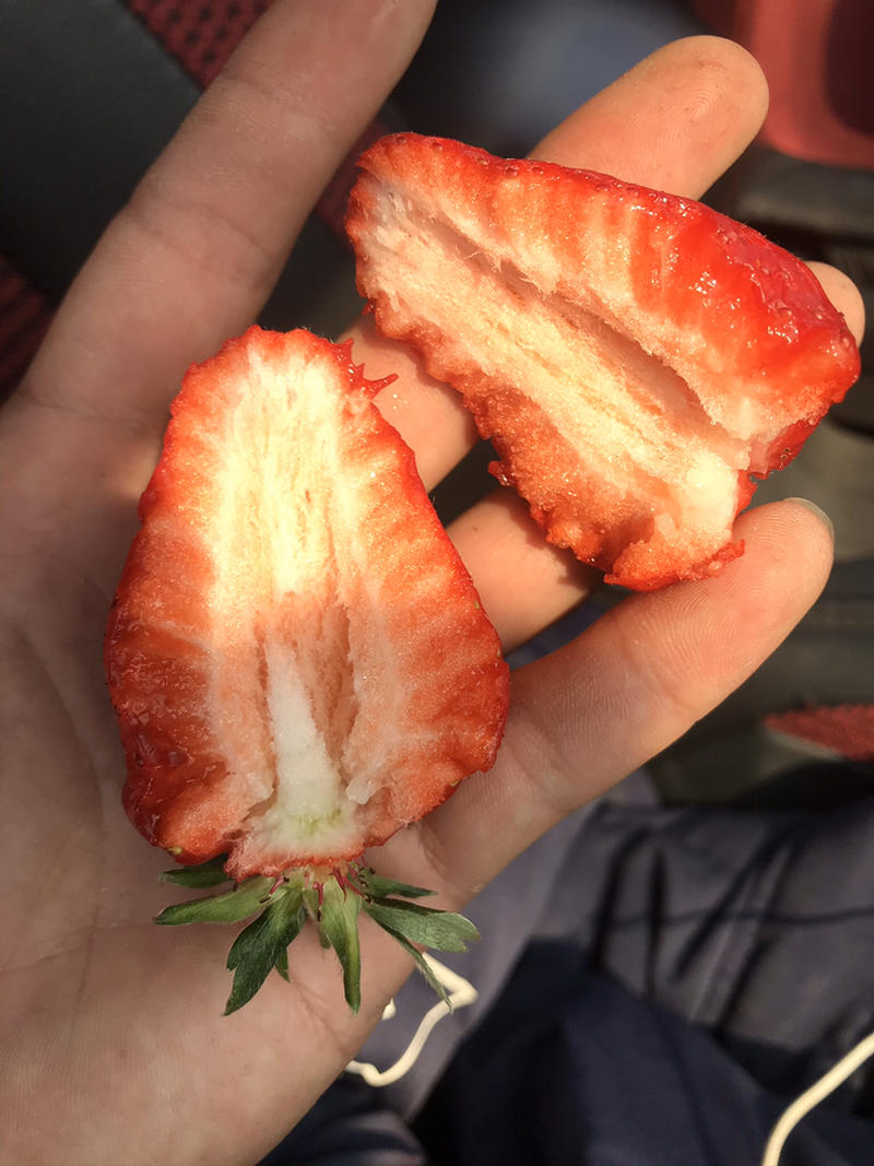 法兰蒂草莓