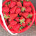 法兰蒂草莓