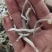 牙签鱼，又名银针鱼（深海鱼，刺少，口感好，低盐）