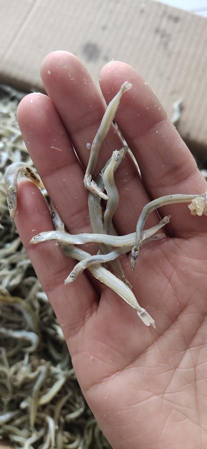 牙签鱼，又名银针鱼（深海鱼，刺少，口感好，低盐）