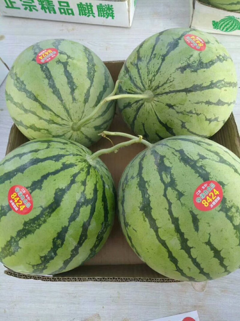 安徽美都西瓜皮薄口感甜量大代发全国保质保量