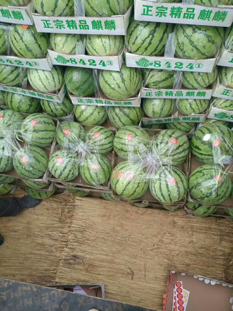 安徽美都西瓜皮薄口感甜量大代发全国保质保量
