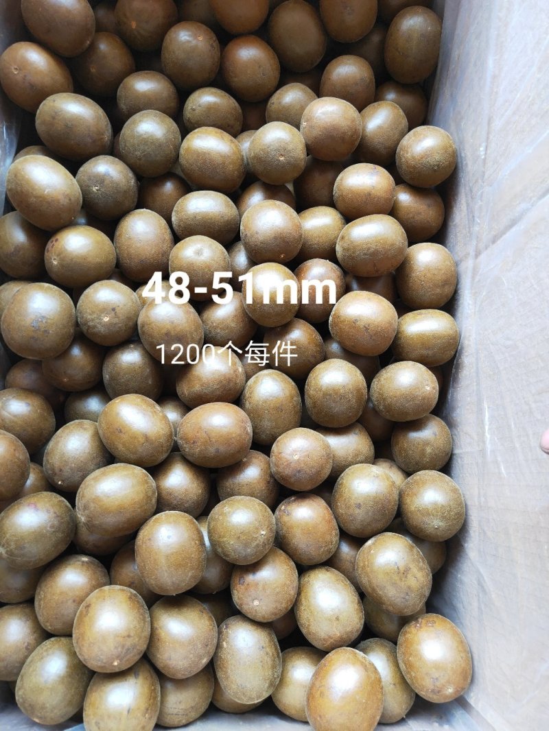 罗汉果批发，规格齐全，量大批发更实惠，桂林永福产地直批