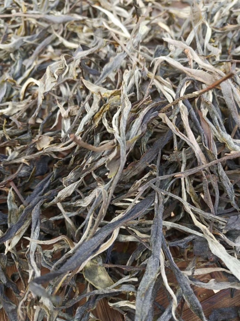 大树茶
