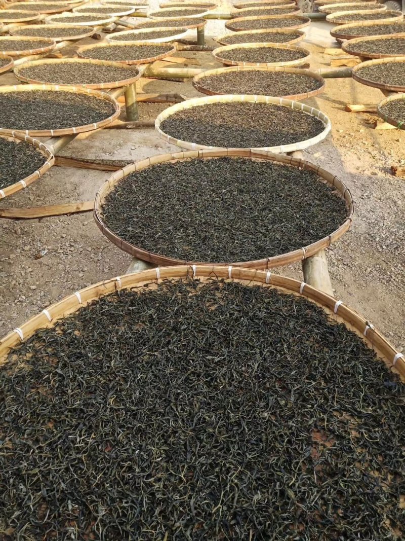 大树茶
